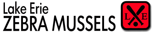 Lake Erie Zebra Mussels